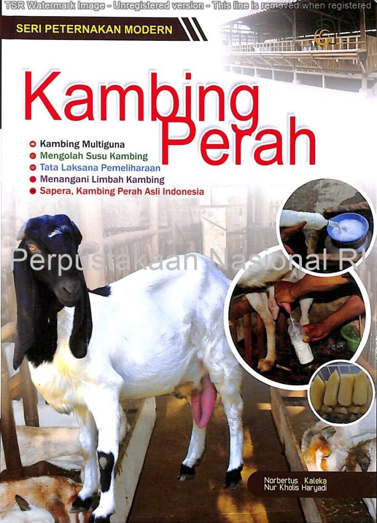 Seri Peternakan Modern Kambing Perah Cv Tirta Buana Media