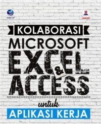 Kolaborasi Microsoft Excel dan Microsoft Access untuk Aplikasi Kerja