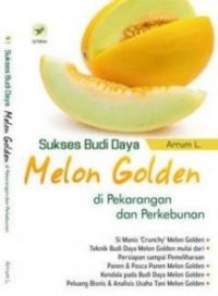 Sukses Budi Daya Melon Golden Di Pekarangan Dan Perkebunan