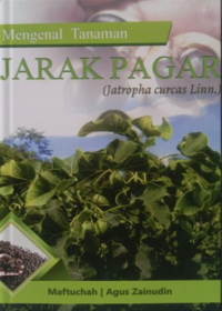 Mengenal Tanaman Jarak Pagar (Jatropha curcas Linn.)
