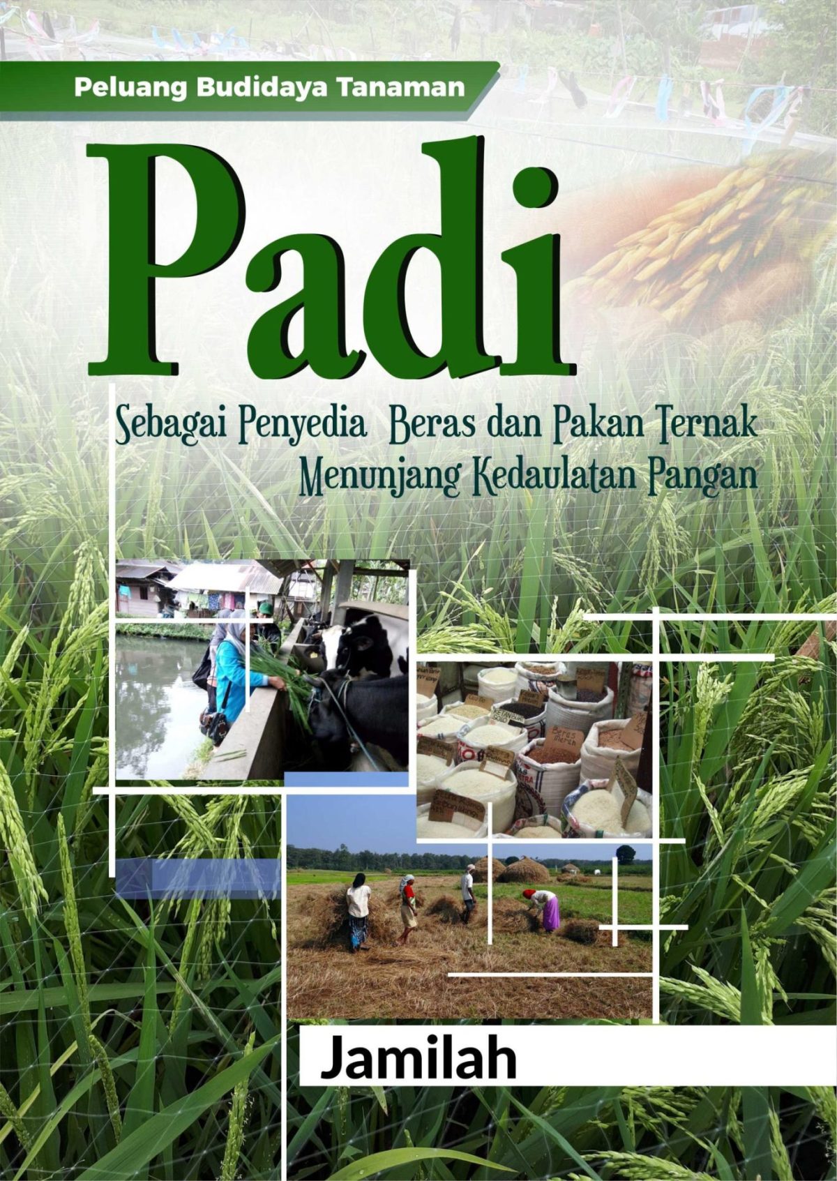 Peluang Budidaya Tanaman Padi sebagai Penyedia Beras dan Pakan Ternak Menunjang Kedaulatan Pangan