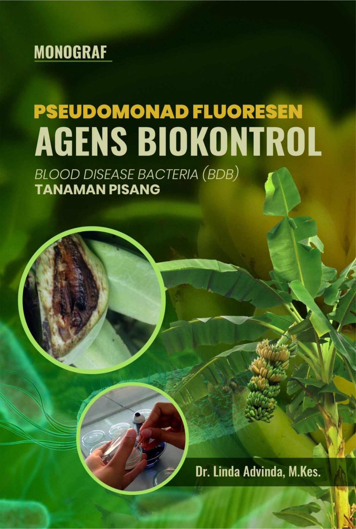 Monograf Pseudomonad Fluoresen Agens Biokontrol Blood Disease Bacteria (BDB) Tanaman Pisang