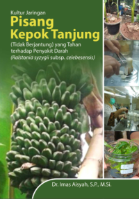 Kultur Jaringan Pisang Kepok Tanjung (Tidak Berjantung) yang Tahan Terhadap Penyakit Darah (Ralstonia syzygii subsp. celebesensis)