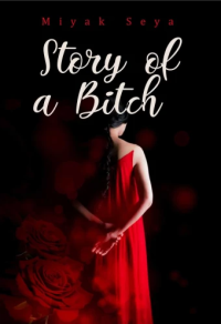 Story of a Bitch