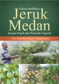 Sukses Budidaya Jeruk Medan dengan Pupuk dan Pestisida Organik