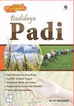 Budidaya Padi
