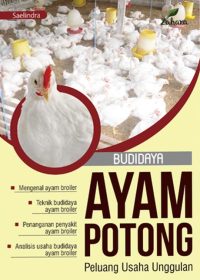 Budidaya Ayam Potong: Peluang Usaha Unggulan