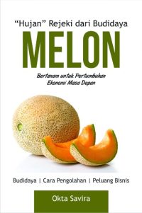 "Hujan" Rejeki Dari Budidaya Melon