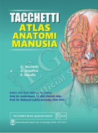 Tacchetti Atlas Anatomi Manusia