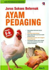 SPM : Jurus Sukses Beternak Ayam Pedaging