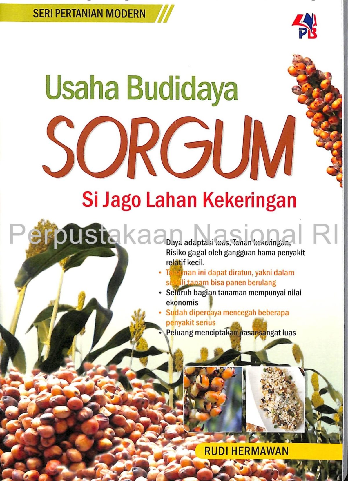 SPM : Usaha Budidaya Sorgum , Si Jago Lahan Kekeringan