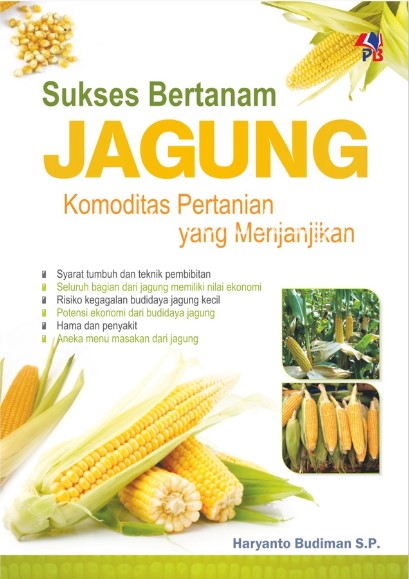 Sukses Bertanam Jagung Komoditas Pertanian Yang Menjanjikan - CV Tirta ...