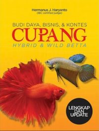 Budi Daya, Bisnis & Kontes Cupang Hybrid & Wild Betta