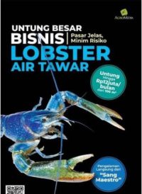 Untung Besar Bisnis Lobster Air Tawar