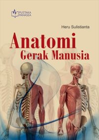 Anatomi Gerak Manusia