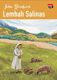 LEMBAH SALINAS